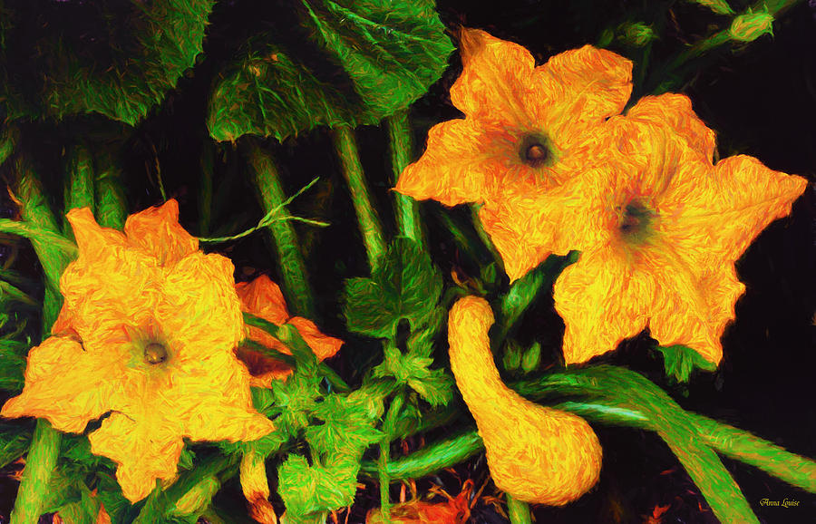 Yellow Squash Blossoms in Garden Photograph by Anna Louise