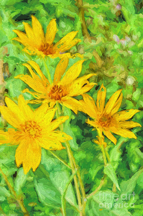 Nature Photograph - Yellow Summer Wildflowers I by Debbie Portwood