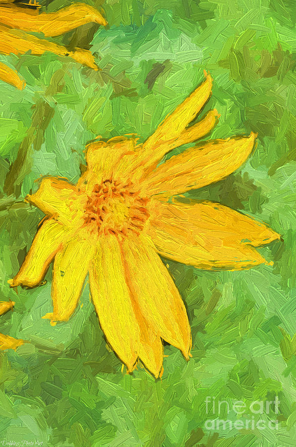 Yellow Summer Wildflowerw II Photograph by Debbie Portwood
