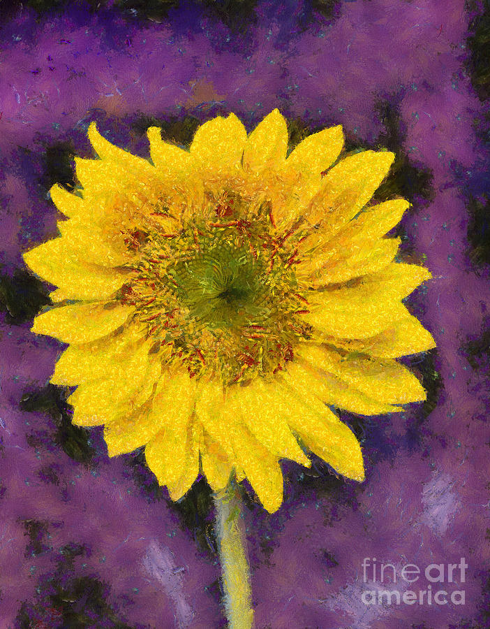 Sunflower Digital Art - Yellow Sunflower by Elisabeth Lucas