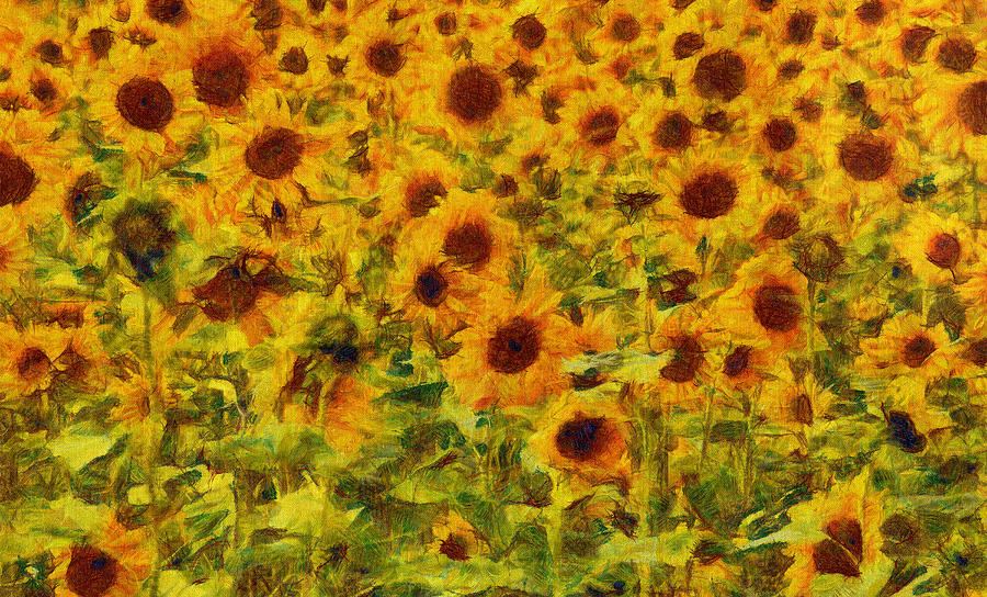 Sunflower Painting - Yellow Sunflowers Field Art Painting by Wall Art Prints