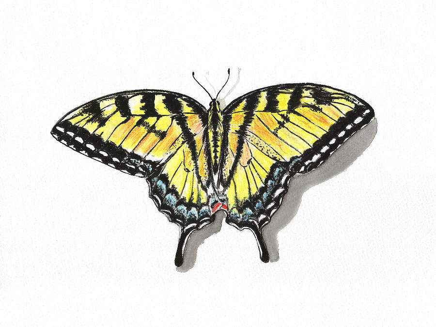 Yellow Swallowtail Butterfly Painting by Masha Batkova
