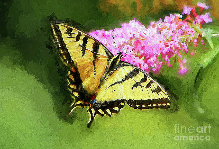 Yellow Swallowtail Butterfly Painting by Tina LeCour | Fine Art America