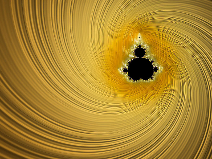 Yellow Swirl Photograph by Constance Sanders