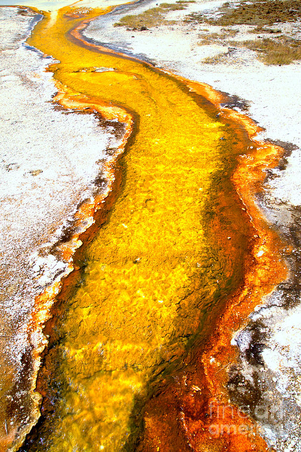 Yellow Thermal Stream Photograph by Adam Jewell