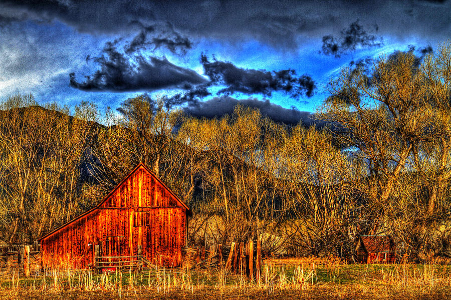 Yellow Tree Barn Photograph by Scott Mahon