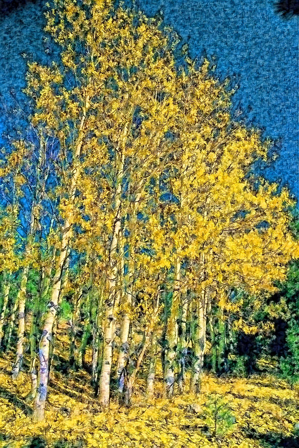 Yellow Trees faa2 Digital Art by Modified Image - Fine Art America
