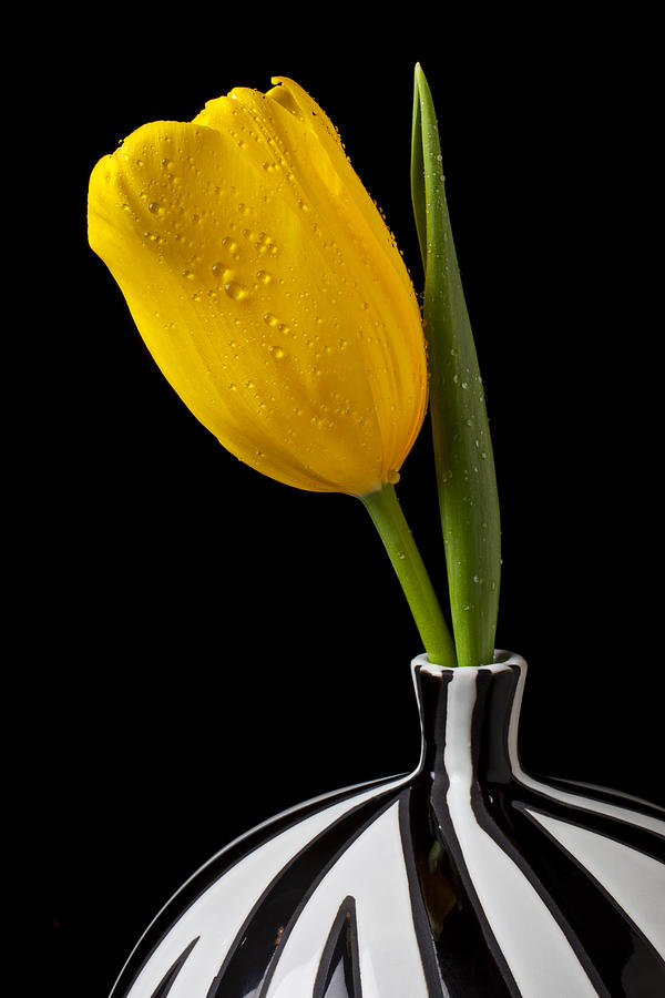 Flower Photograph - Yellow tulip in striped vase by Garry Gay