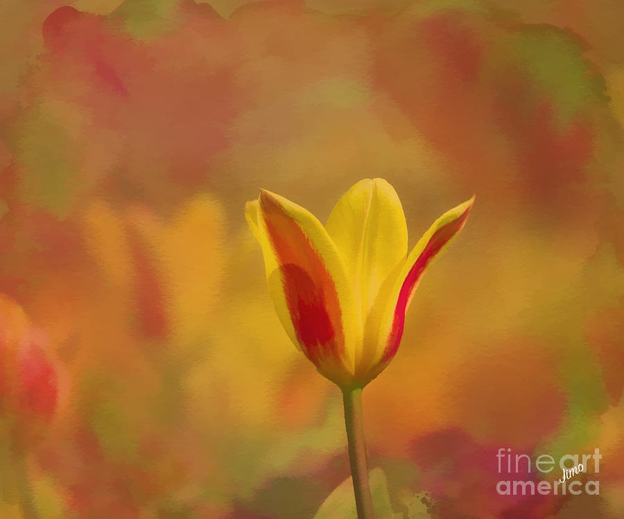 Yellow Tulip Digital Art by Jim Hatch