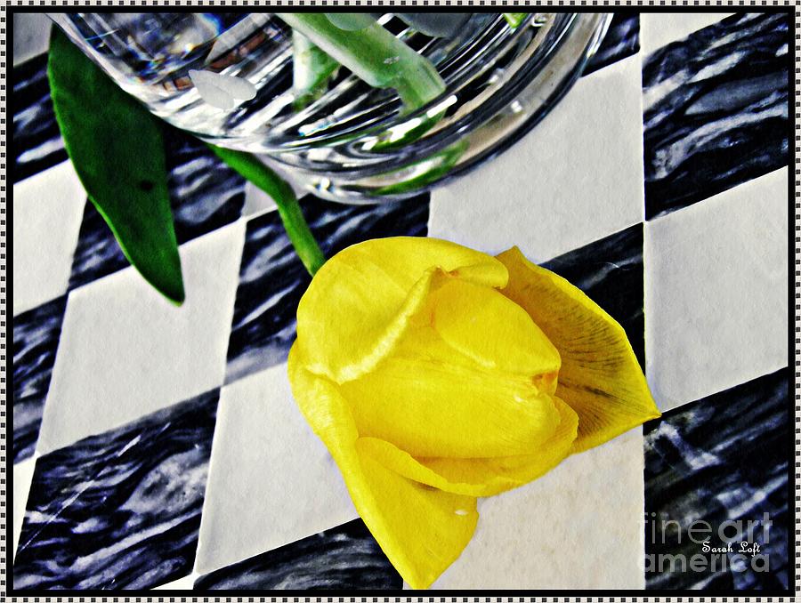 Tulip Photograph - Yellow Tulip on the Checker Board by Sarah Loft