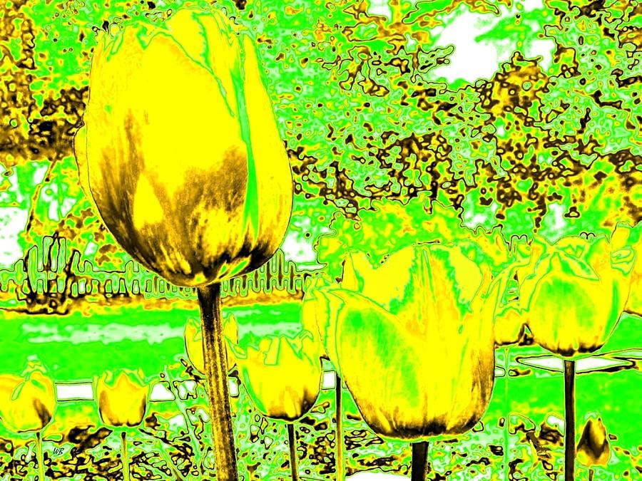 Abstract Digital Art - Yellow Tulips Abstract by Will Borden