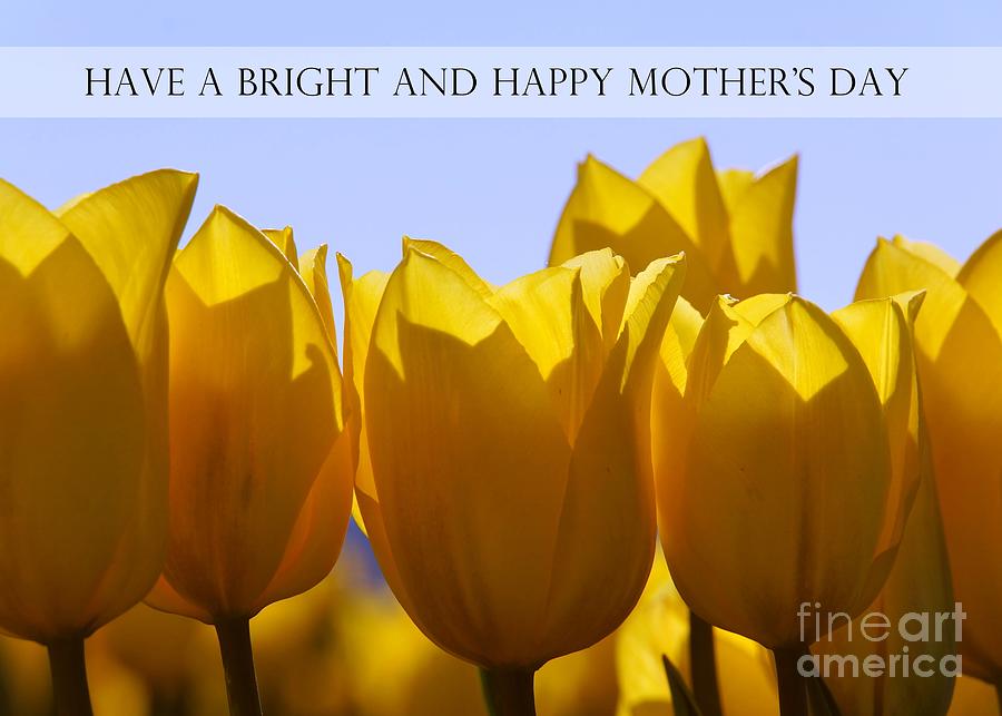 Yellow Tulips for Mothers Day Card Photograph by Patricia Strand
