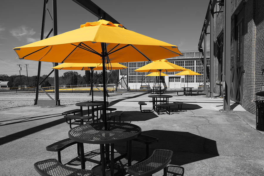 Yellow Umbrellas Photograph by Rodney Lee Williams