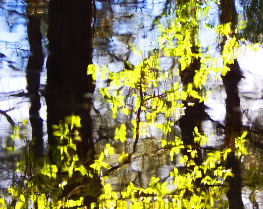 Yellow Vine Abstract Photograph by Jan Gelders