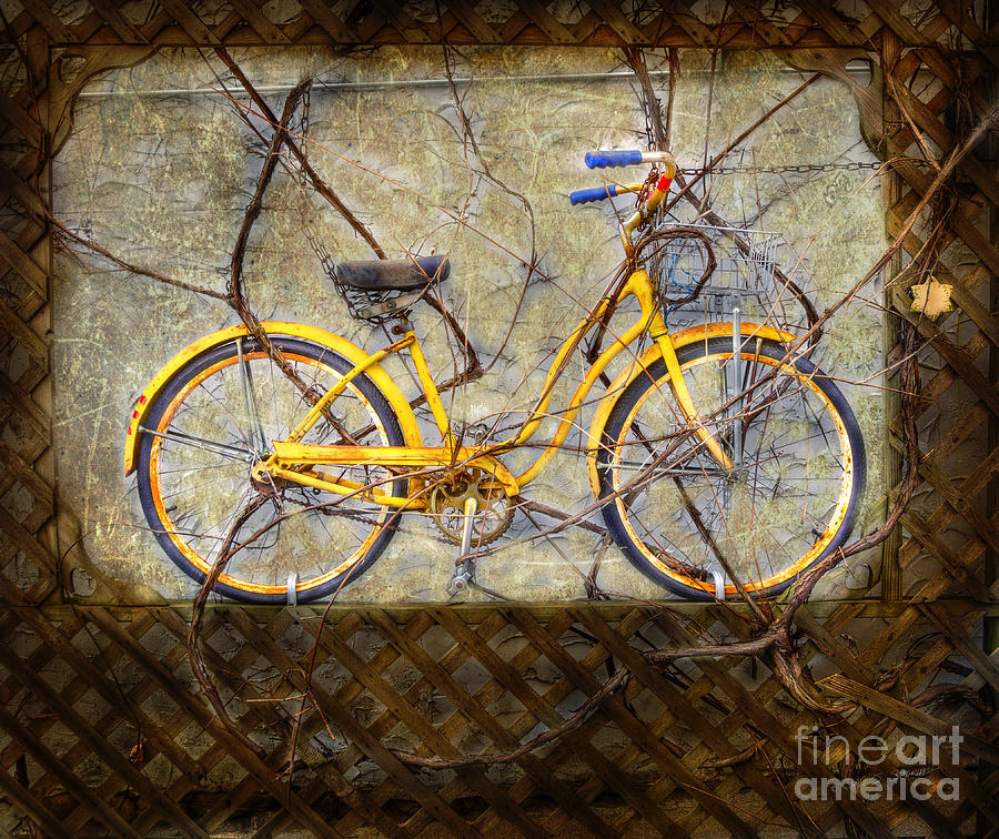 Yellow Vine Bike Photograph by Craig J Satterlee