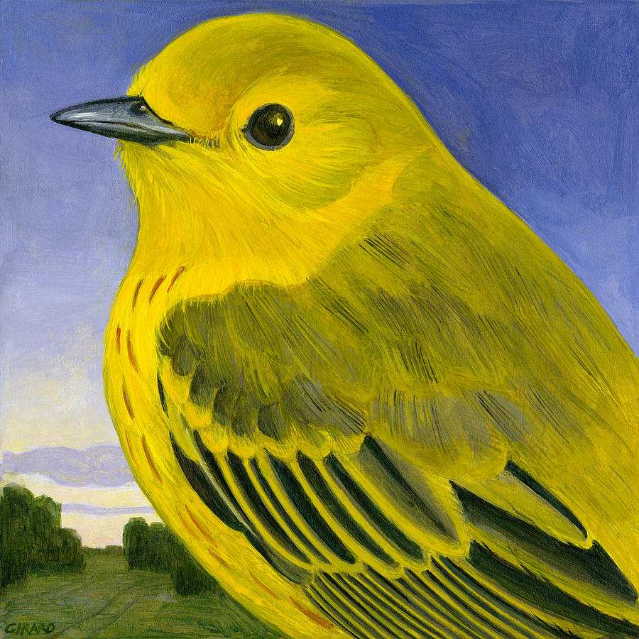 Yellow Warbler Painting by Francois Girard