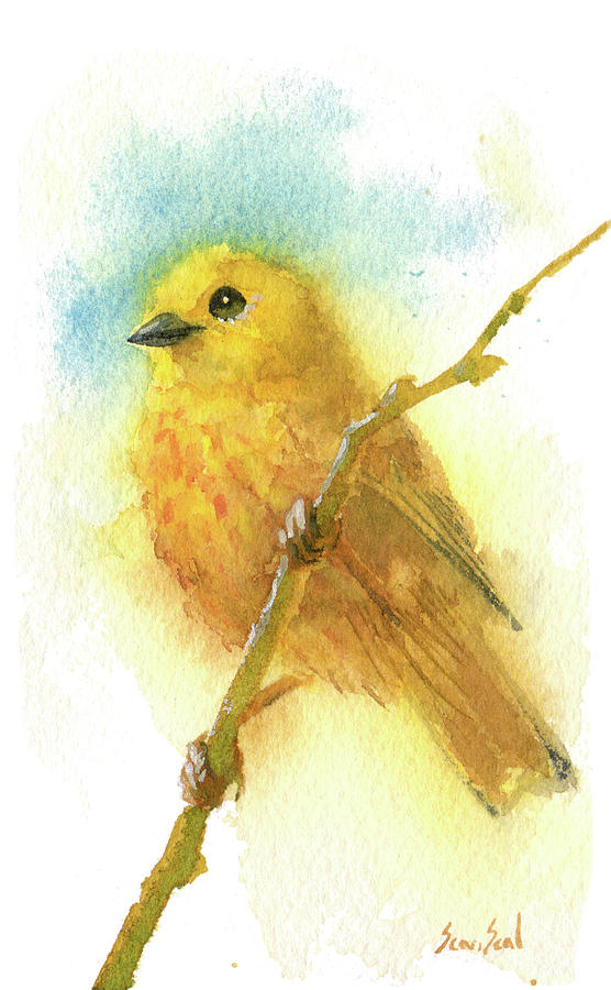 Yellow Warbler Painting by Sean Seal