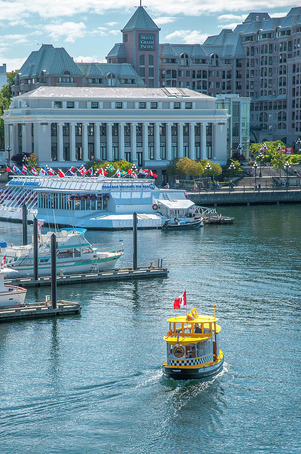 Yellow Water Taxi 8100 Photograph by Ginger Stein