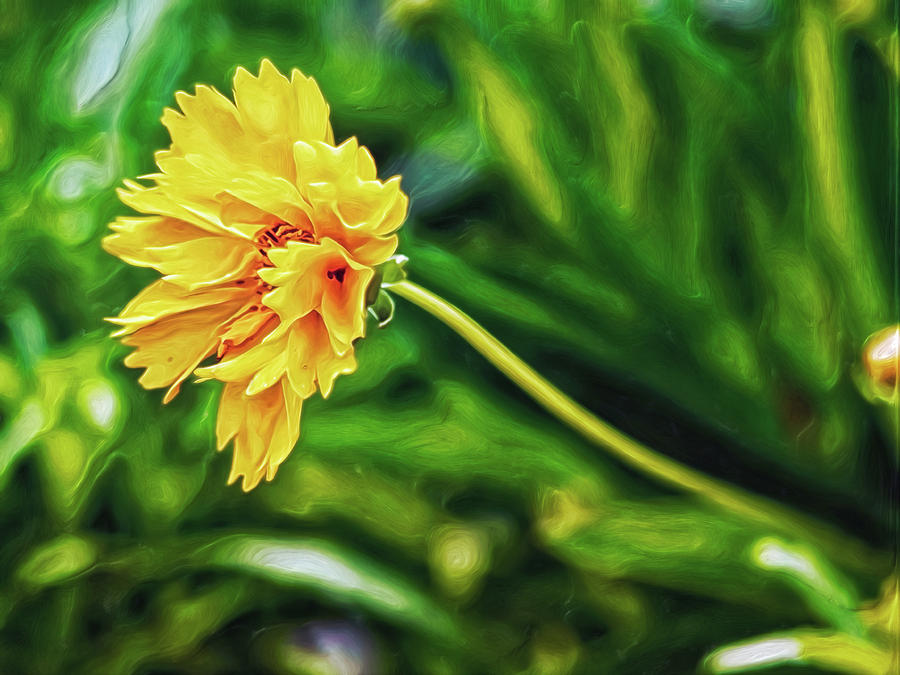 Yellow Wave Digital Art by Doctor MEHTA Yellow Wave Digital Art by Doctor MEHTA