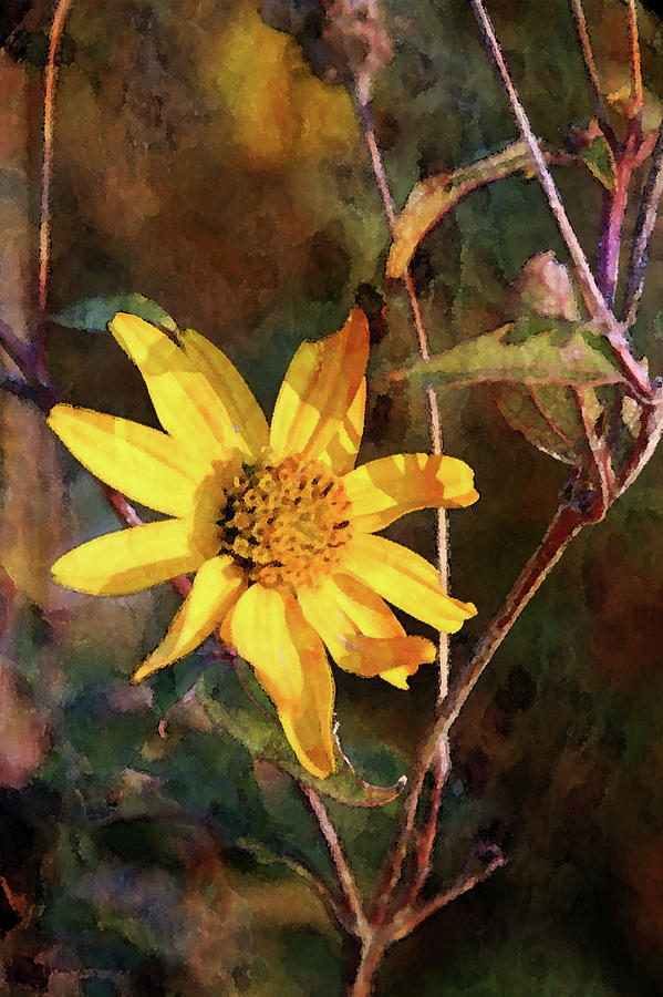 Yellow Wildflower Painting 6012 DP_2 Photograph by Steven Ward