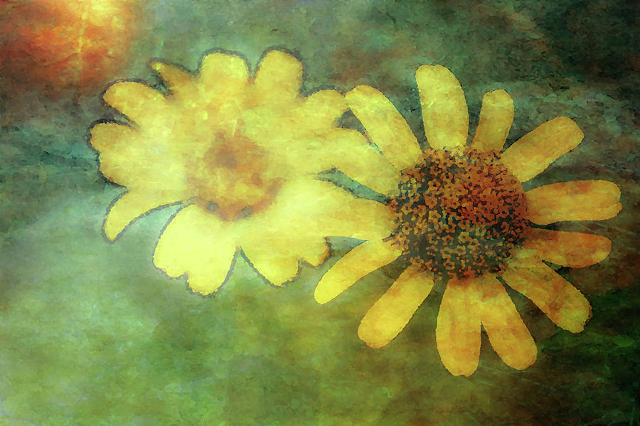 Yellow Wildflower Progression 5668 DP_2 Photograph by Steven Ward