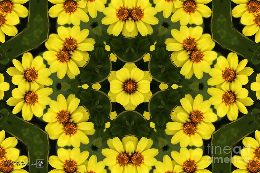 Yellow Zahara Mandala Digital Art by J McCombie
