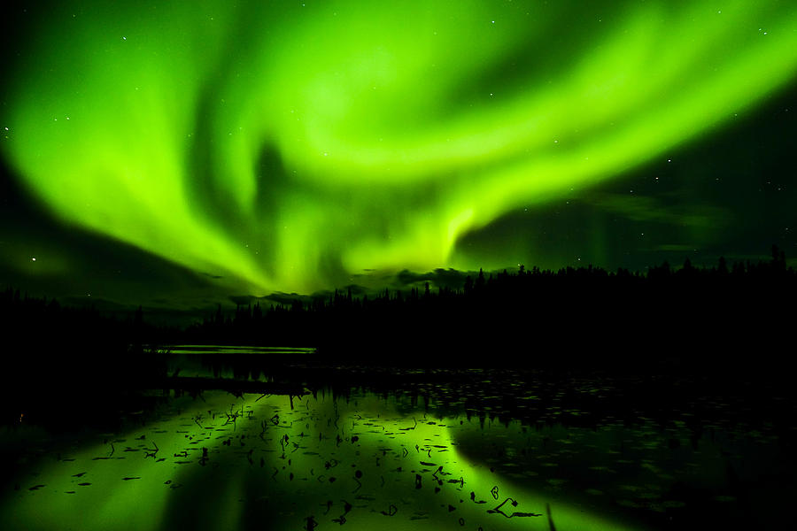 Aurora Photograph - Yellowknife Aurora Series 9 by John McArthur