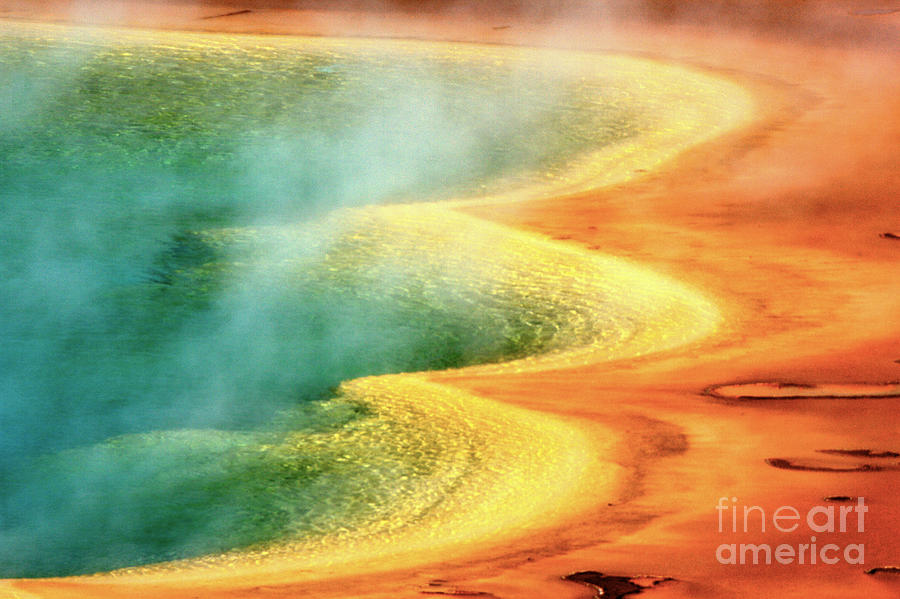 Yellowstone National Park Photograph - Yellowsotne Golden Ares by Adam Jewell