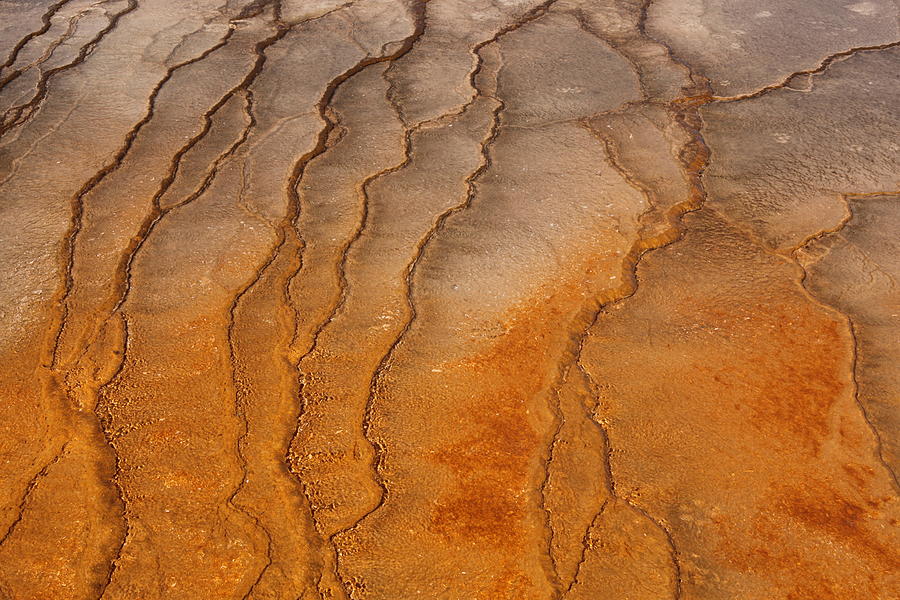Yellowstone 2530 Photograph by Michael Fryd