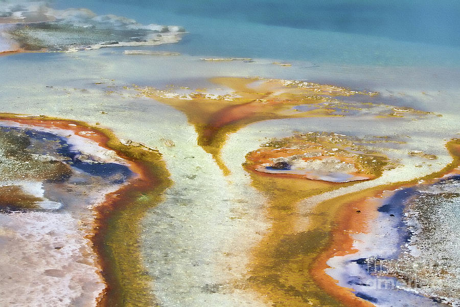 Yellowstone Abstract III Photograph by Teresa Zieba