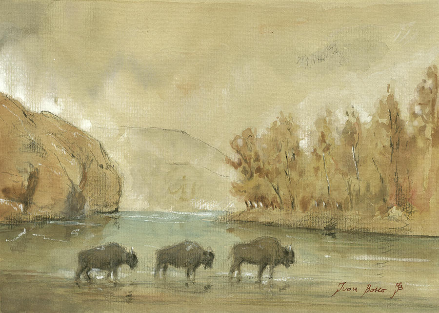 Yellowstone National Park Painting - Yellowstone and bisons by Juan Bosco