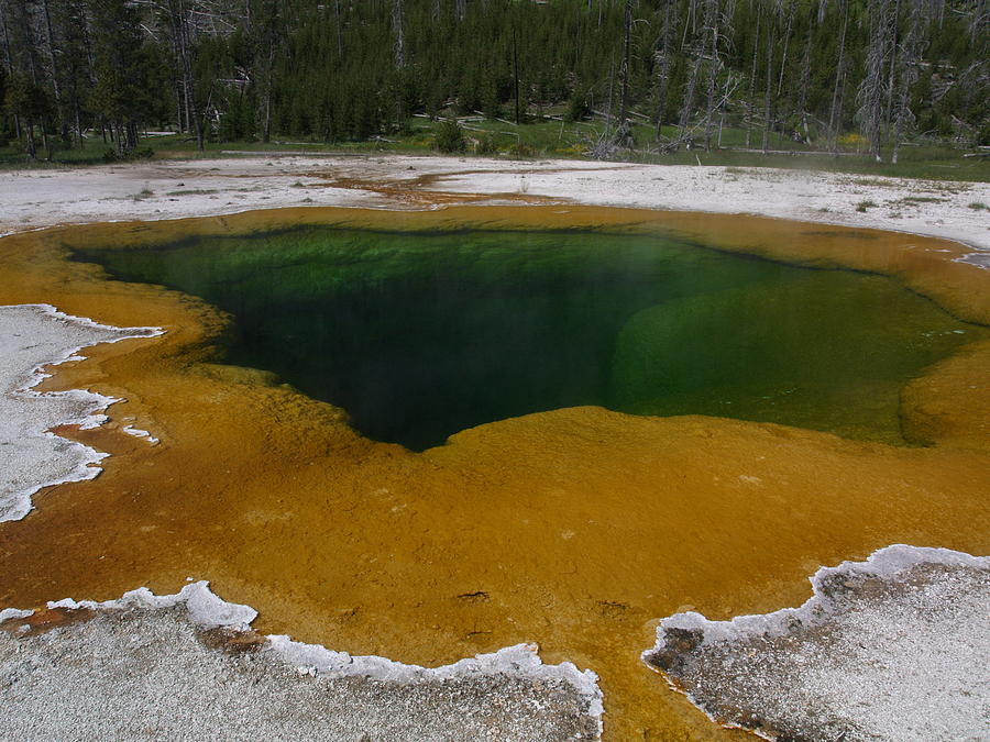 Yellowstone Black Sand Basin Photograph by Phil Stone