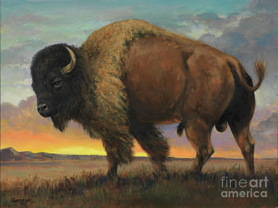 Sunset Buffalo Painting by Don Langeneckert - Fine Art America