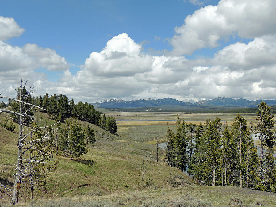 Yellowstone Caldera Photograph by Jayne Wilson