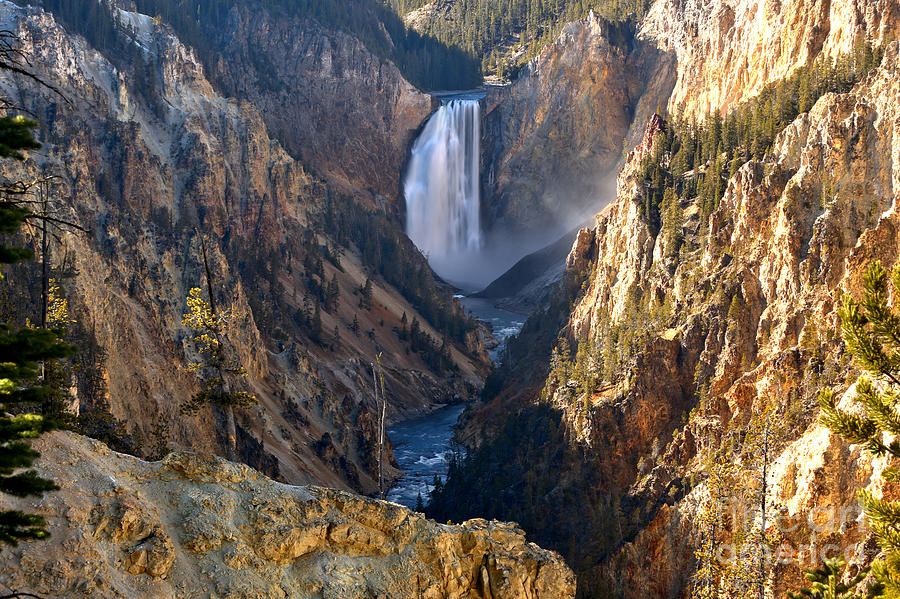 Yellowstone Canyon Falls Photograph by Adam Jewell