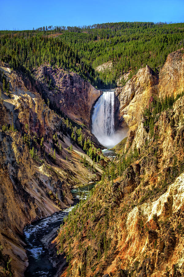 Yellowstone Canyon Falls Photograph by Carolyn Derstine