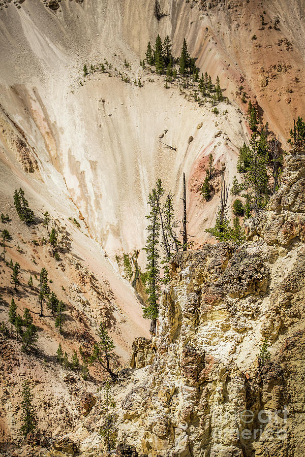 Yellowstone Canyon Photograph by Karen Jorstad