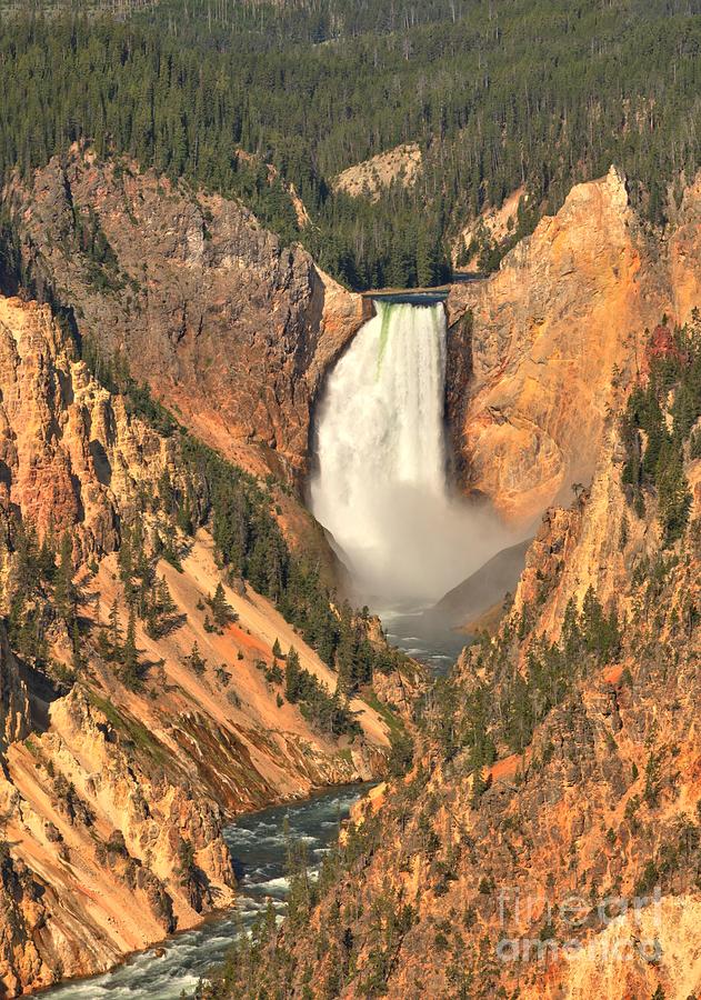 Yellowstone Canyon Lower Falls Photograph by Adam Jewell
