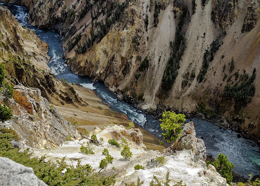 Yellowstone Canyon Photograph by Shirley Mitchell