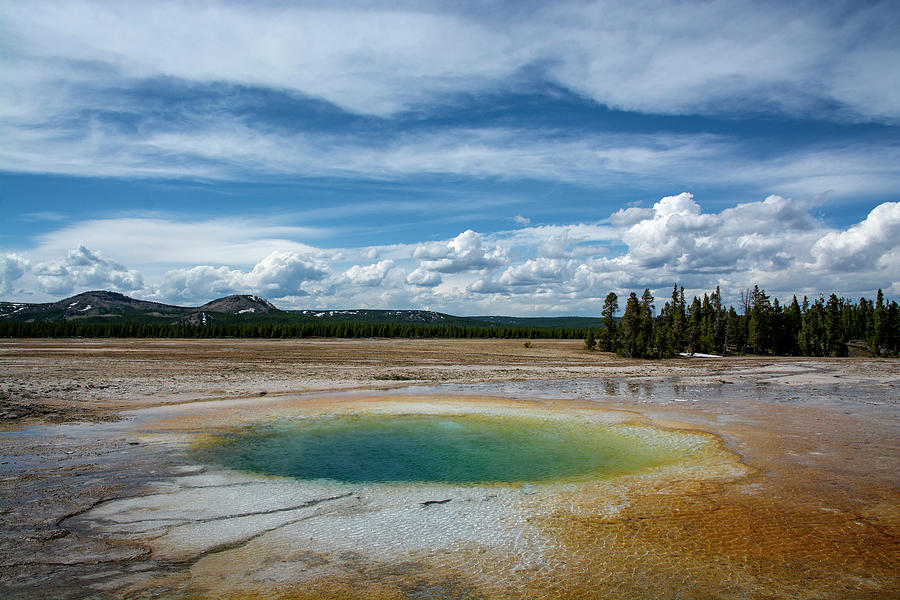 Yellowstone Colors #12 Photograph by Scott Read