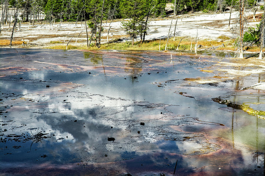 Yellowstone Colors #4 Photograph by Scott Read