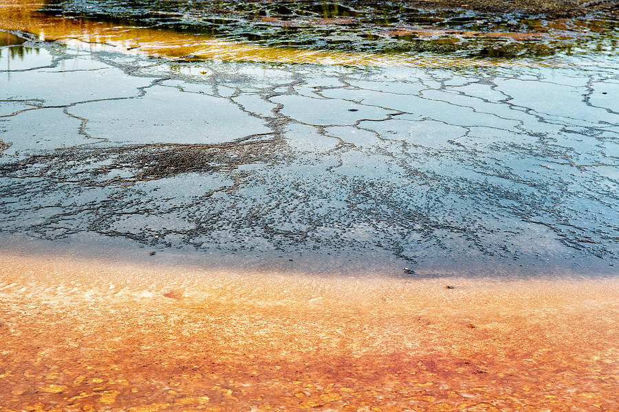 Yellowstone Colors #9 Photograph by Scott Read