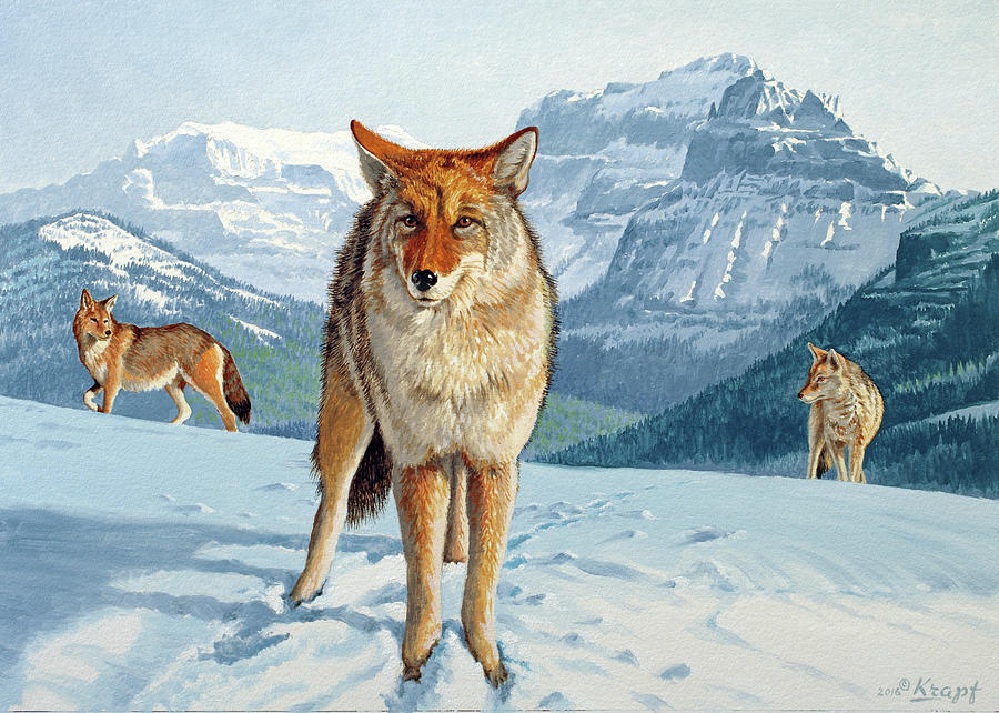 Coyote Painting - Yellowstone Coyotes by Paul Krapf