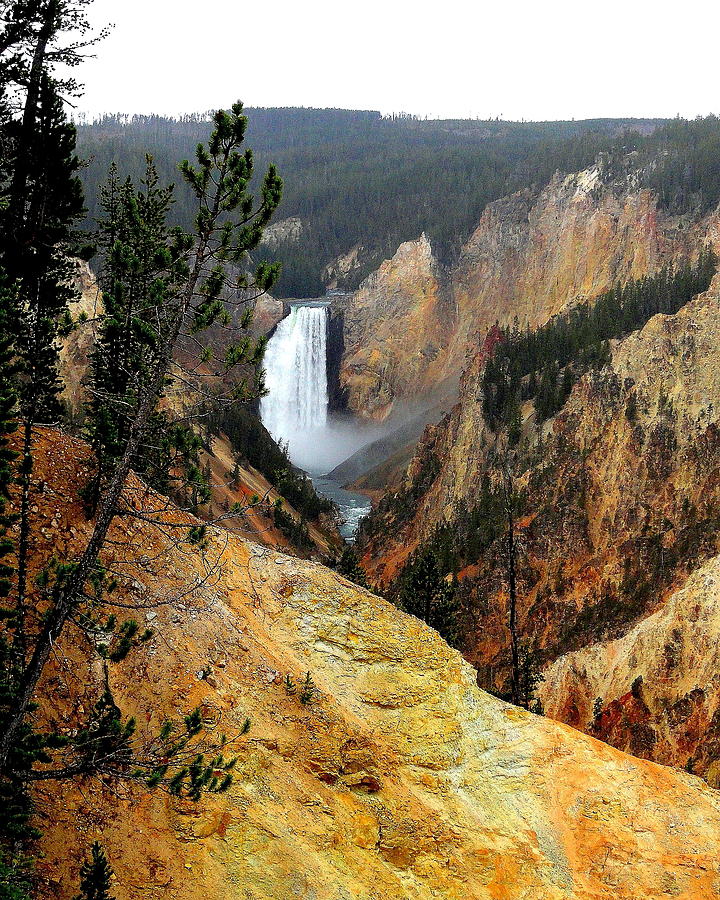 Yellowstone Falls Photograph by Arvin Miner