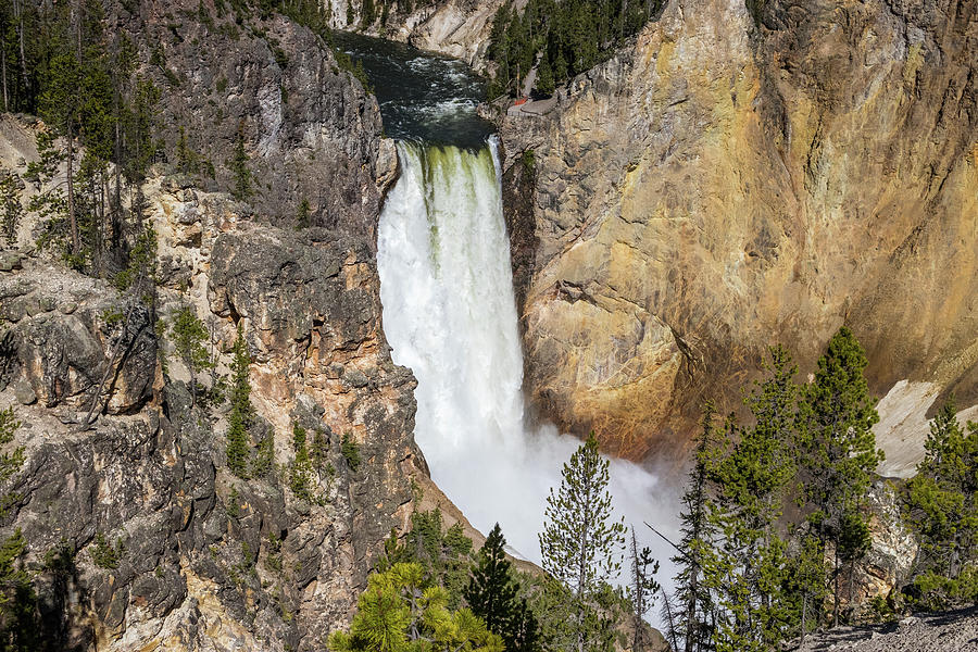 Yellowstone Falls Photograph by Dana Foreman
