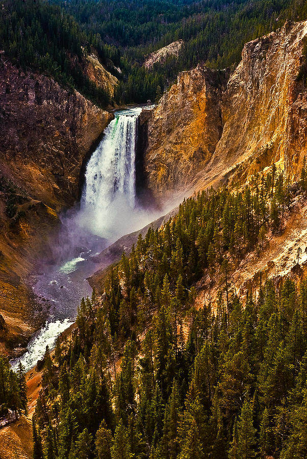 Yellowstone Falls Photograph by Harry Spitz