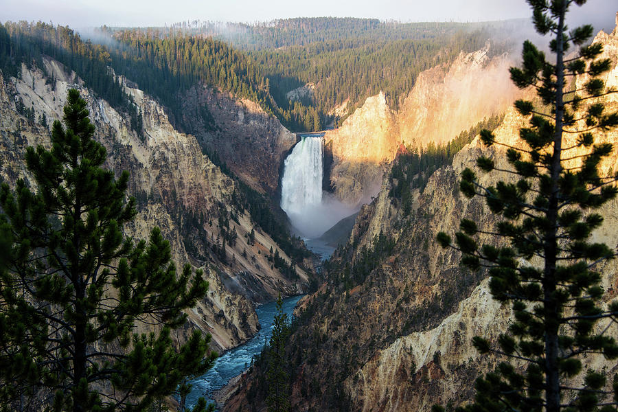 Yellowstone National Park Photograph - Yellowstone Falls by Jennifer Ancker