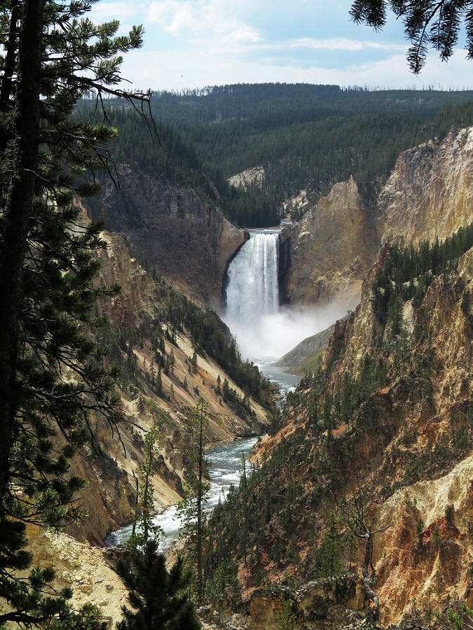 Yellowstone Falls Photograph by Laurel Powell