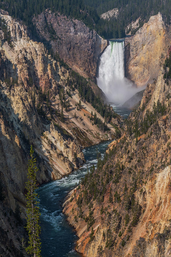 Yellowstone Falls Leading into Yellowstone River Photograph by Kelly VanDellen