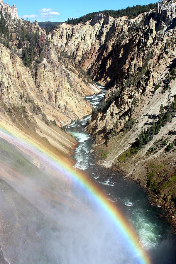 Yellowstone Falls Photograph by Nicki Clark